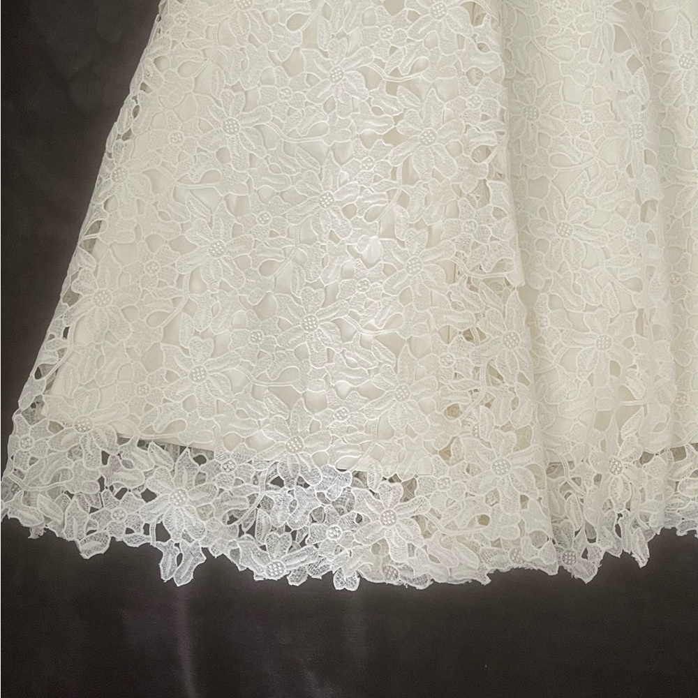 Spectacular David's Bridal Ivory Floral Lace Gown - Picture 7 of 16